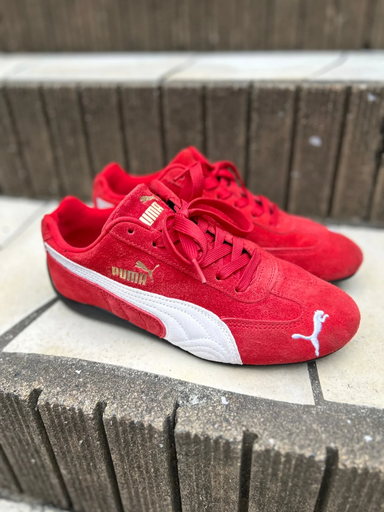 今さらですが【PUMA（プーマ）】のスピードキャット OG、はじめました #スニーカー #深夜のこっそり話 #2245