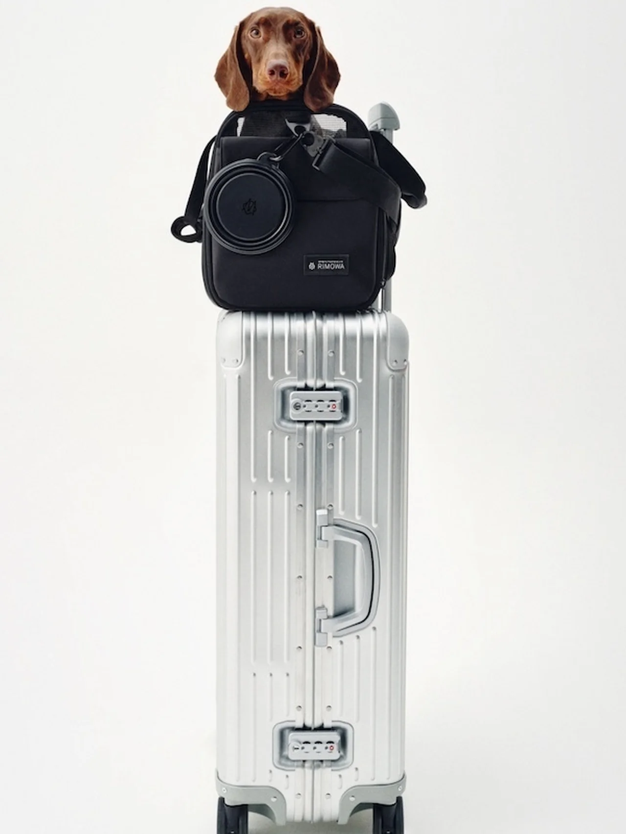 【リモワ】から大切なペットとの旅を充実させるペットキャリーバッグが登場
