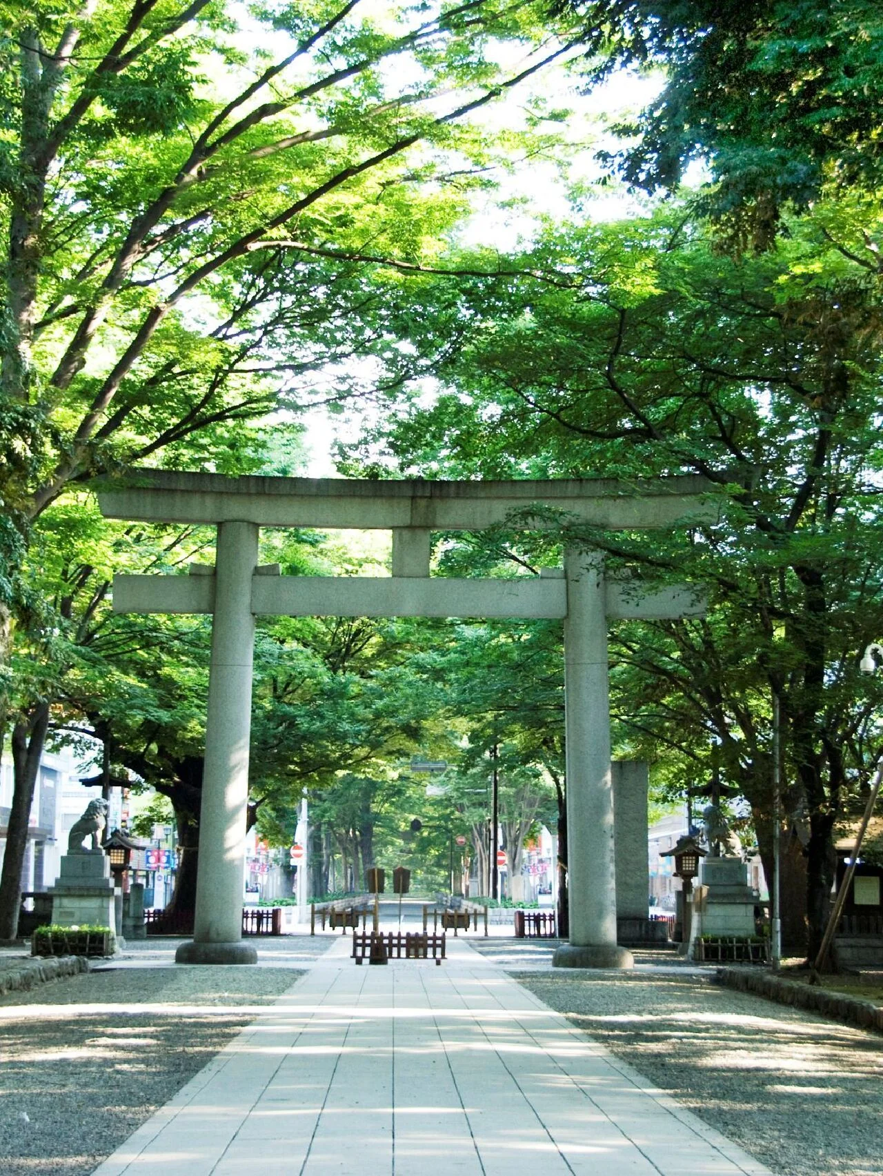【イヴルルド遙華さん】「大國魂神社」で厄祓いをして、新しい運気の波に乗る