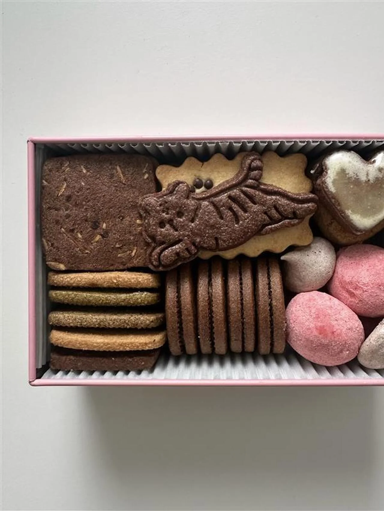 京都には可愛いトラがいる【SUGiTORA】のクッキー缶