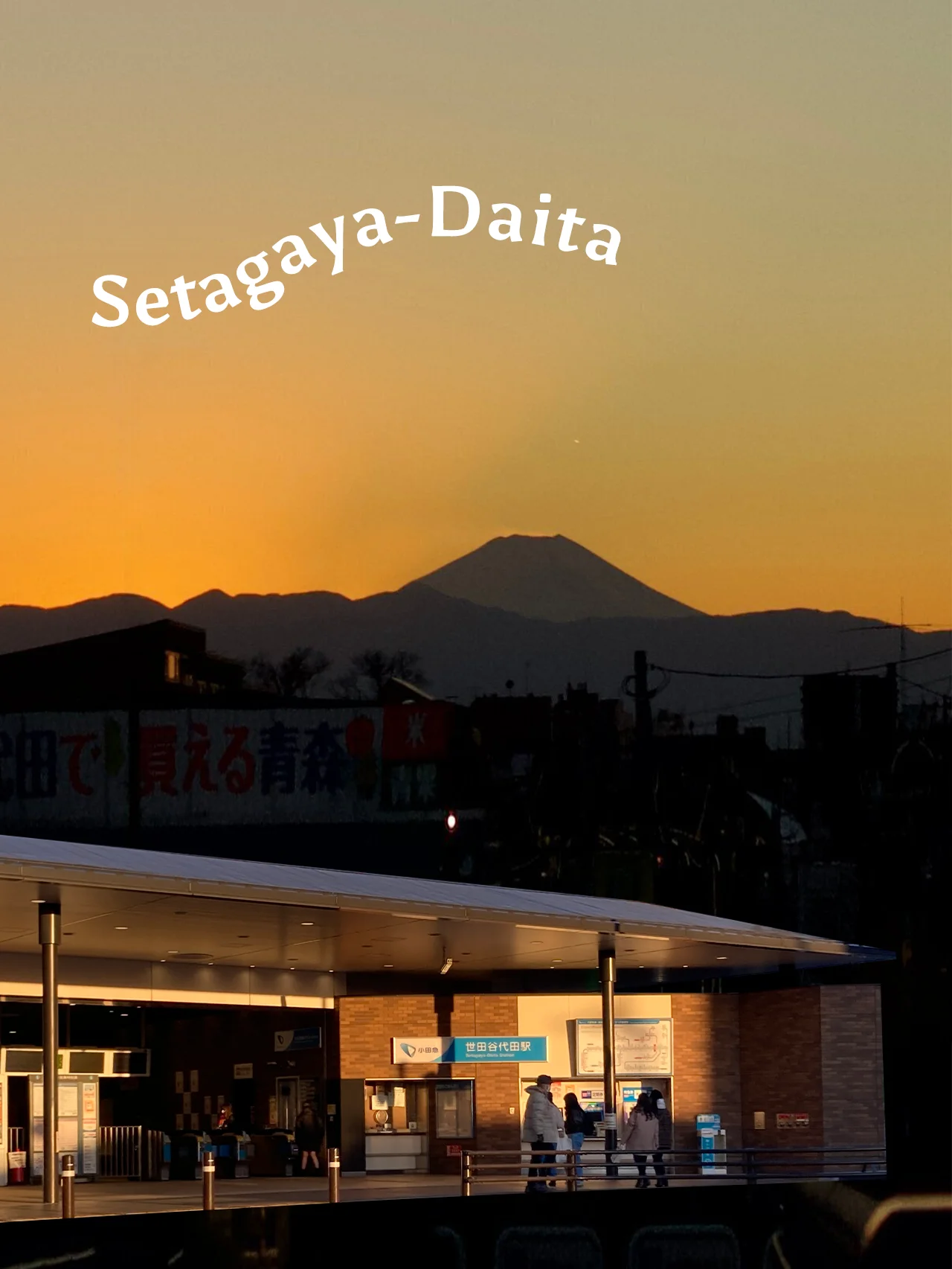 【世田谷代田】ドラマ「サイレント」のロケ地としても話題に！ 下北沢が徒歩圏内の閑静な住宅街。開運スポット近くのこだわりハウスを探せ！ トーキョー内見クラブ #5