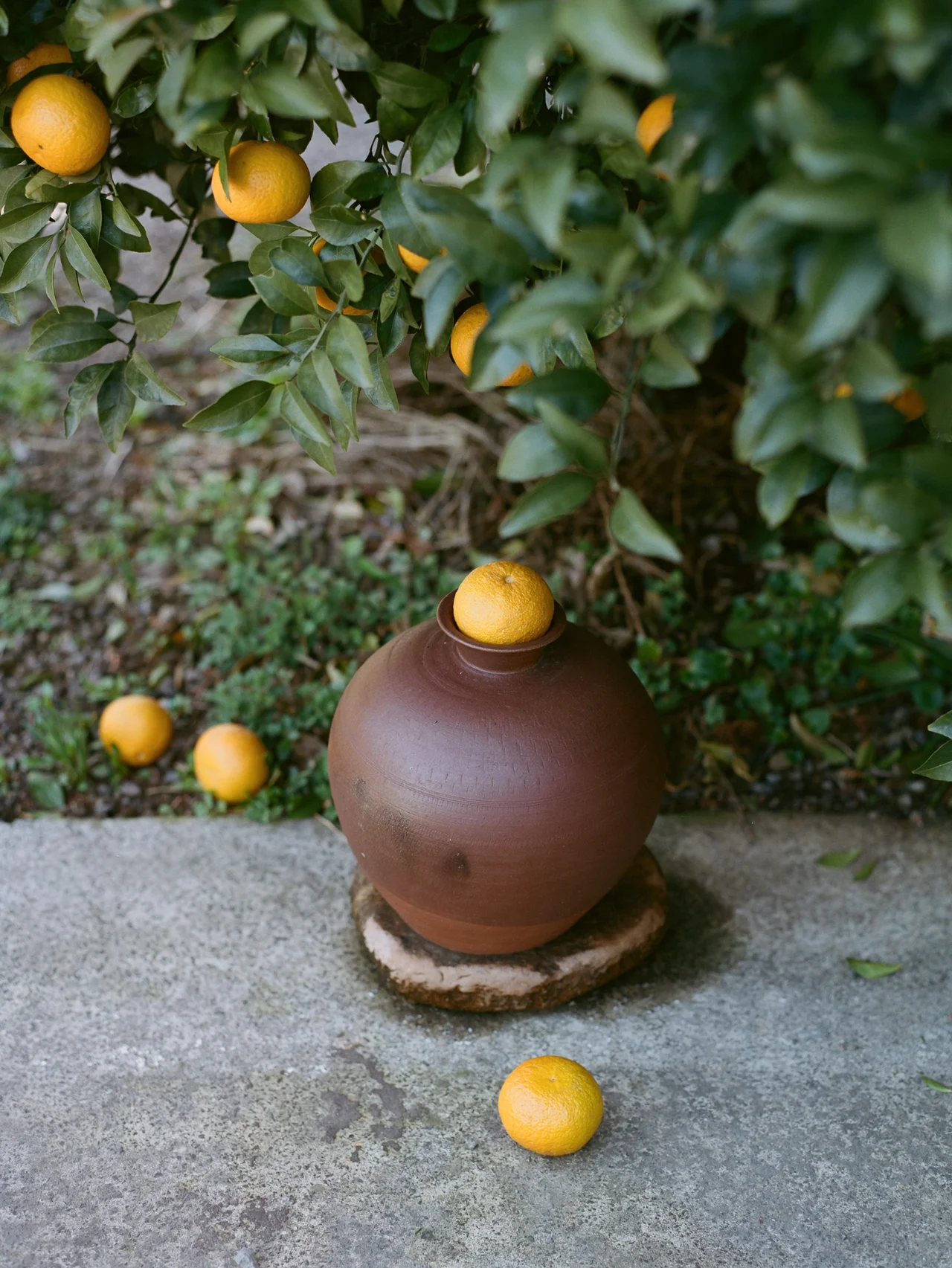 【済州島】で立ち寄りたい、ウェルネスアドレス5選。五感で楽しむ2泊3日の小旅行