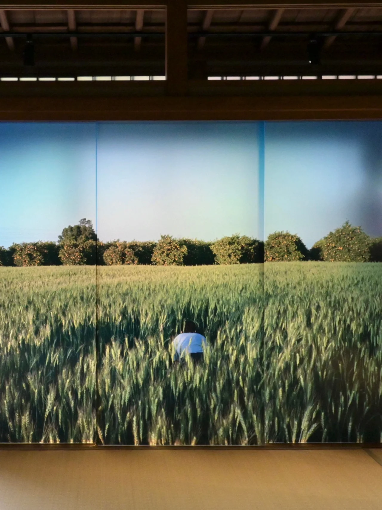 パレスチナの「もうひとつの物語」【KYOTOGRAPHIE 京都国際写真祭 2025】展示レポート③