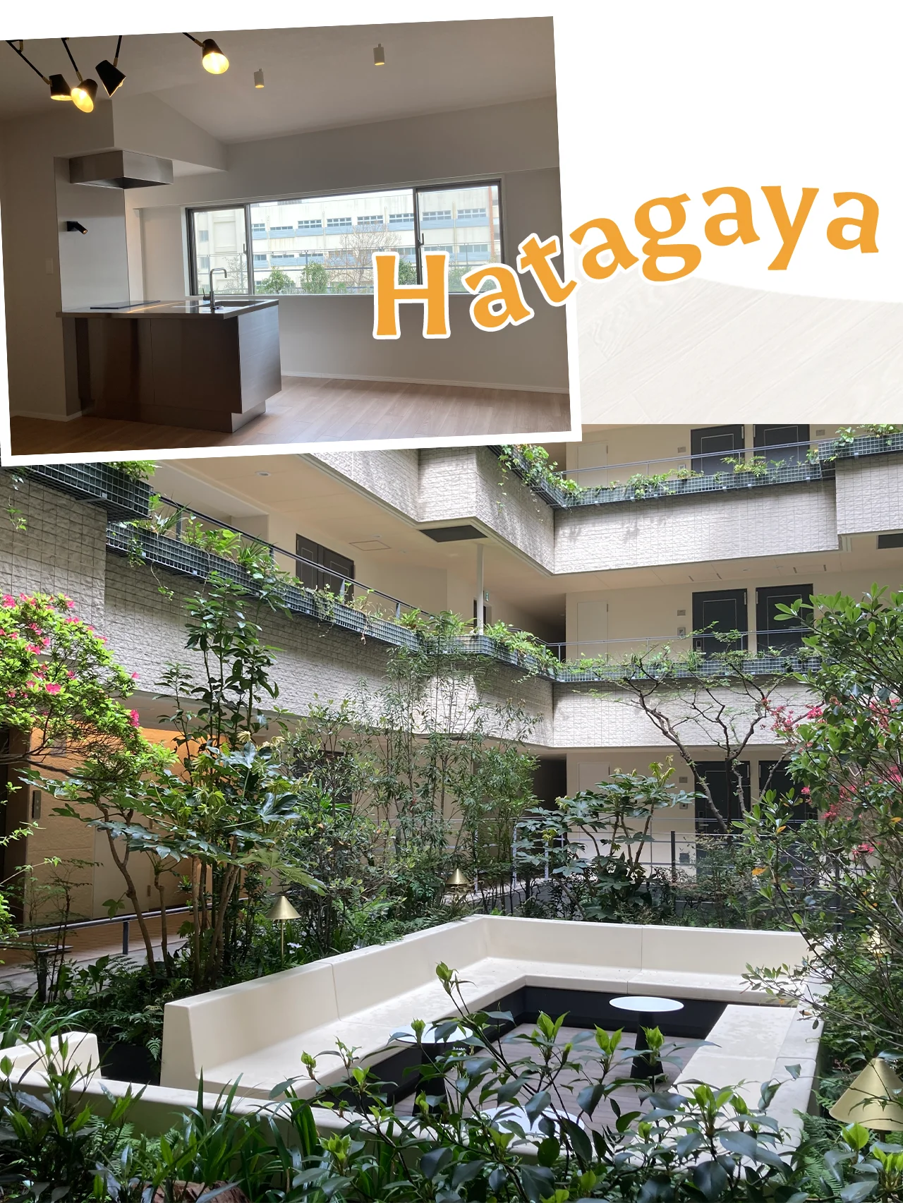 【幡ヶ谷】 都心に位置しつつも住みよさ抜群！ おしゃれな店が次々に集まってくる町。開運スポット近くのこだわりハウスを探せ！ トーキョー内見クラブ #8