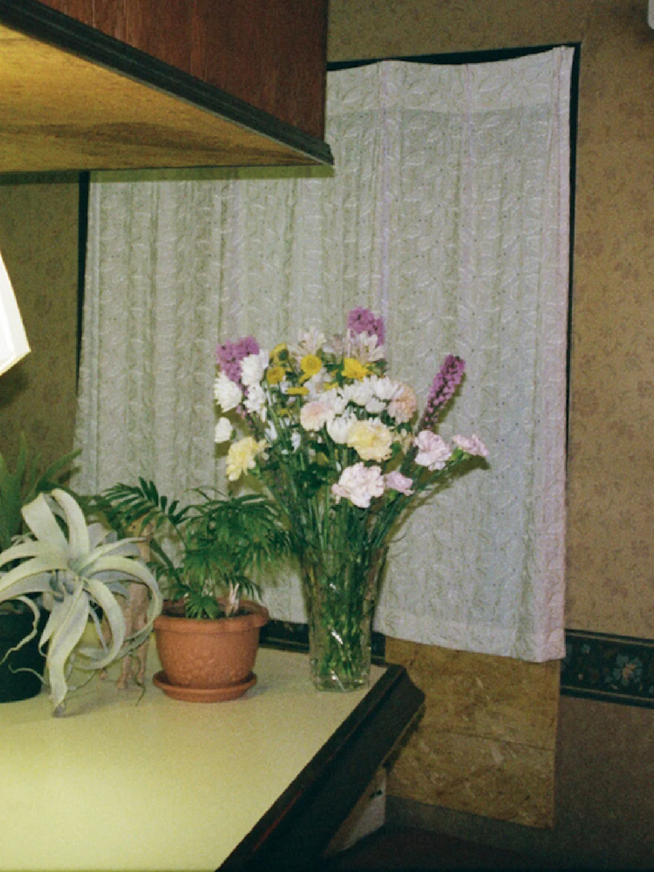 残雪と新緑が同居する北海道で撮った、白昼夢のような「なにか」。後藤啓太の写真展「N°02_engawa」開催