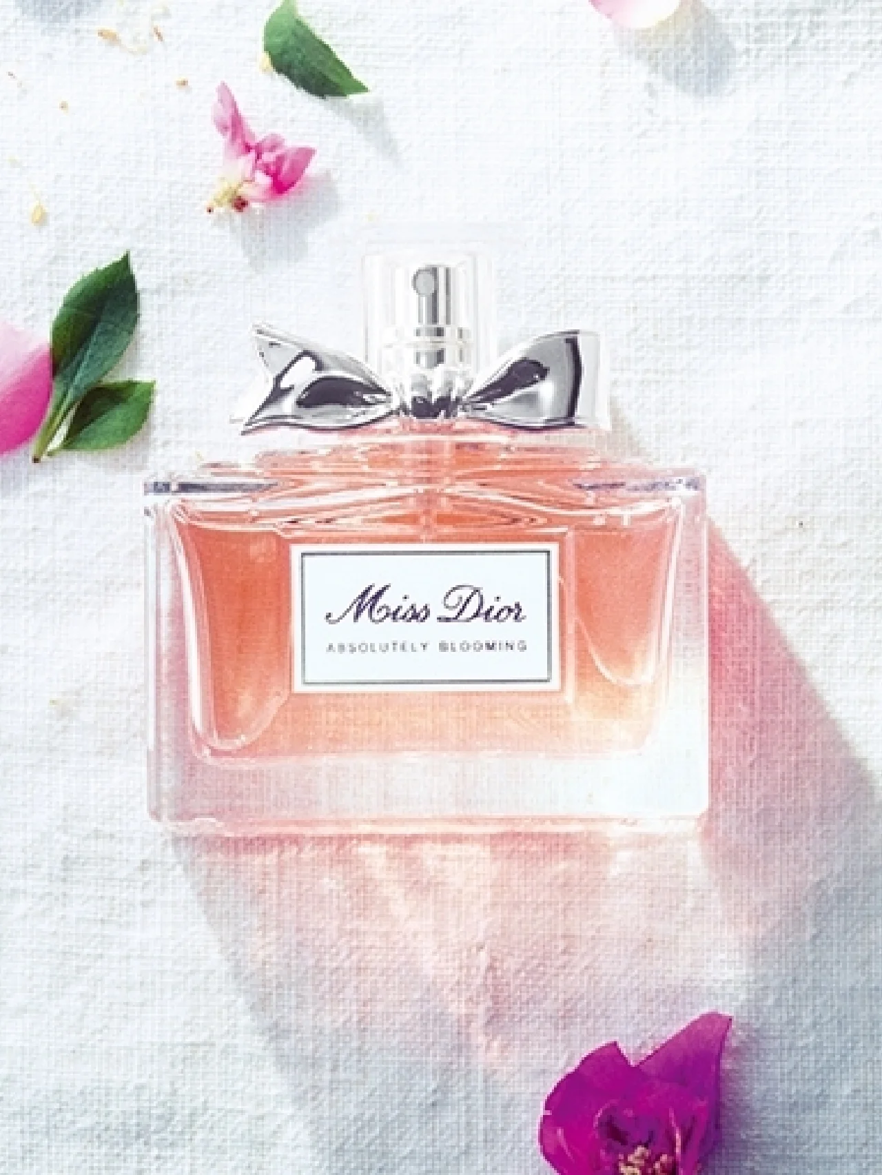 ミス ディオールを探して　～グラース、世にも芳わしい旅へ～