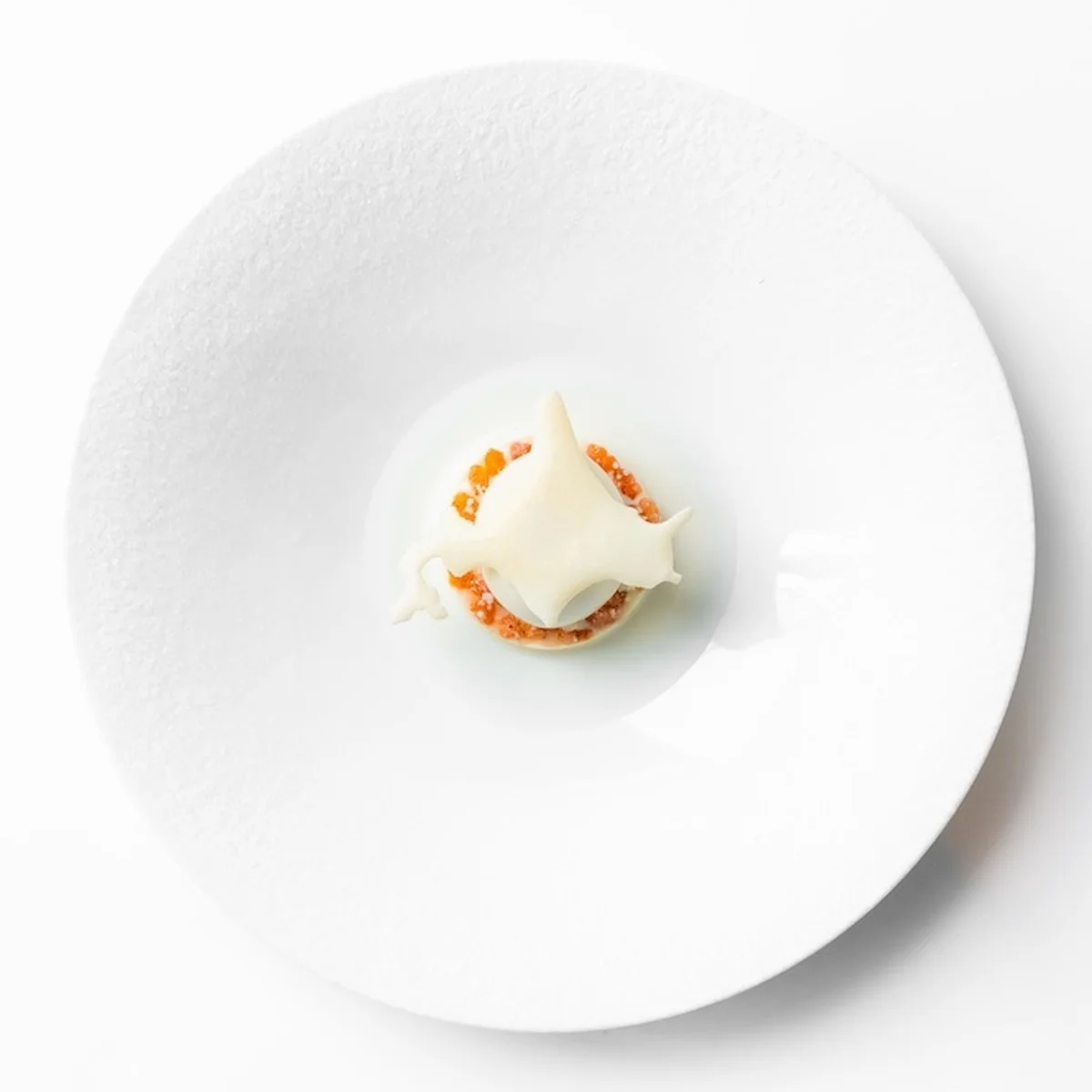 【アルマーニ / リストランテ】で函館への食の旅へ！ 「OMAKASE - Journey to Hakodate -」、期間限定で登場