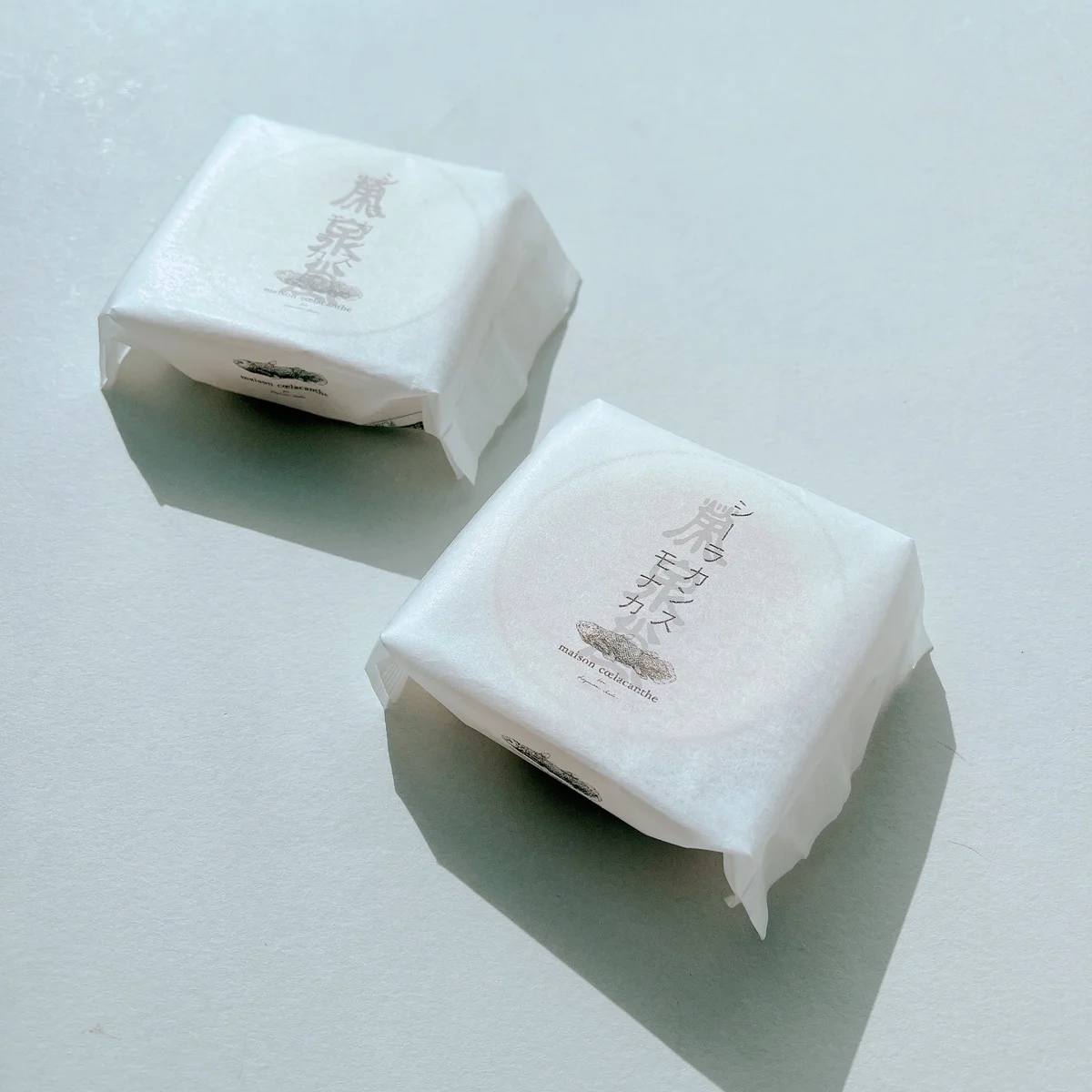 話題の【シーラカンス モナカ】を初実食！