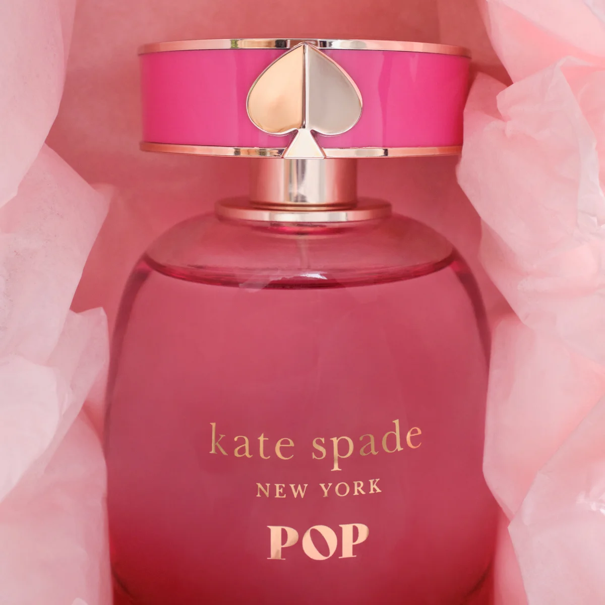 上白石萌歌が「ケイト・スペード ポップ」と出合う