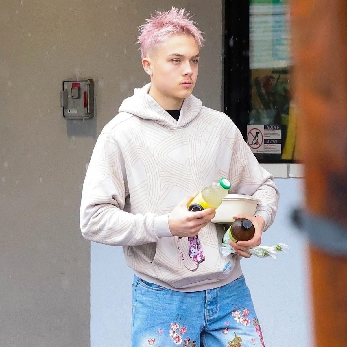 アンジェリーナ・ジョリーの息子ノックス、母親にオマージュでパステルピンクヘアに!? イケメンぶりにファン騒然