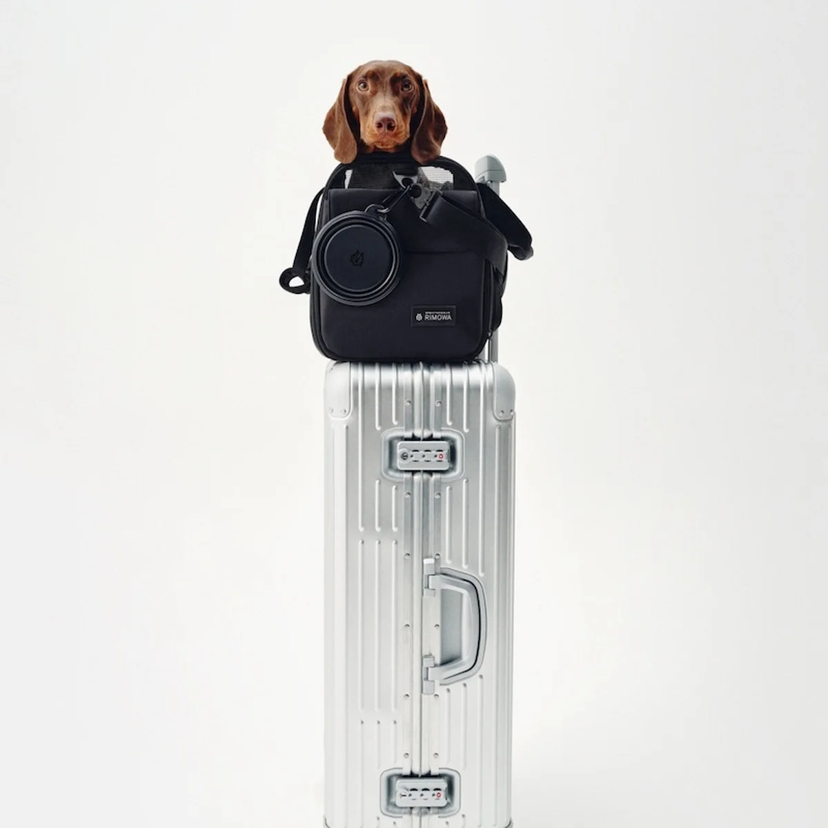 【リモワ】から大切なペットとの旅を充実させるペットキャリーバッグが登場