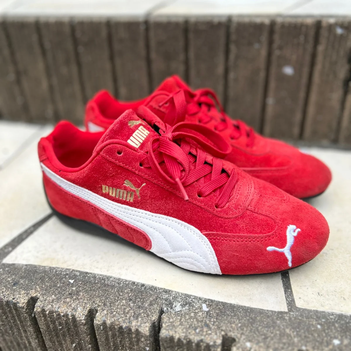 今さらですが【PUMA（プーマ）】のスピードキャット OG、はじめました #スニーカー #深夜のこっそり話 #2245
