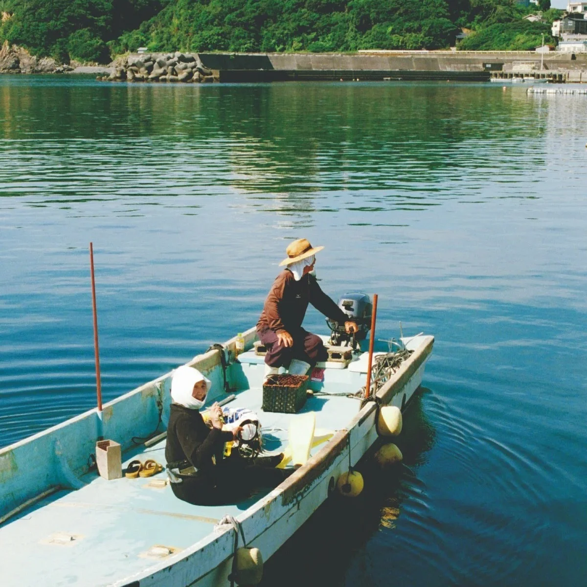 海女さんの文化と未来。伝統を受け継ぎ、自然と生きる