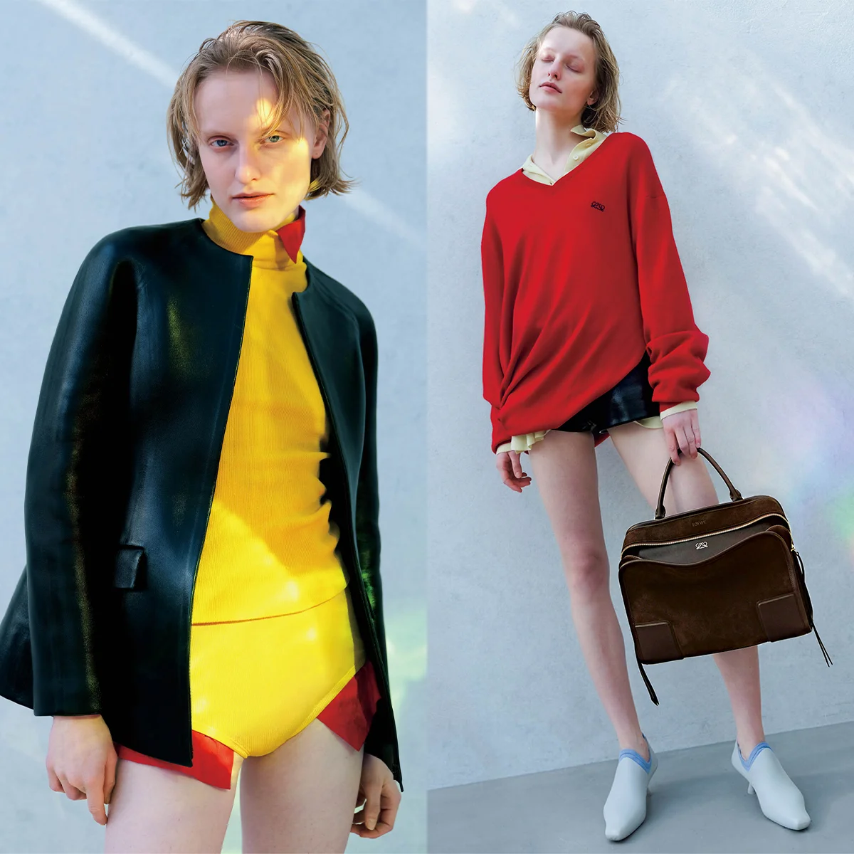 LOEWE 色彩と光の楽園