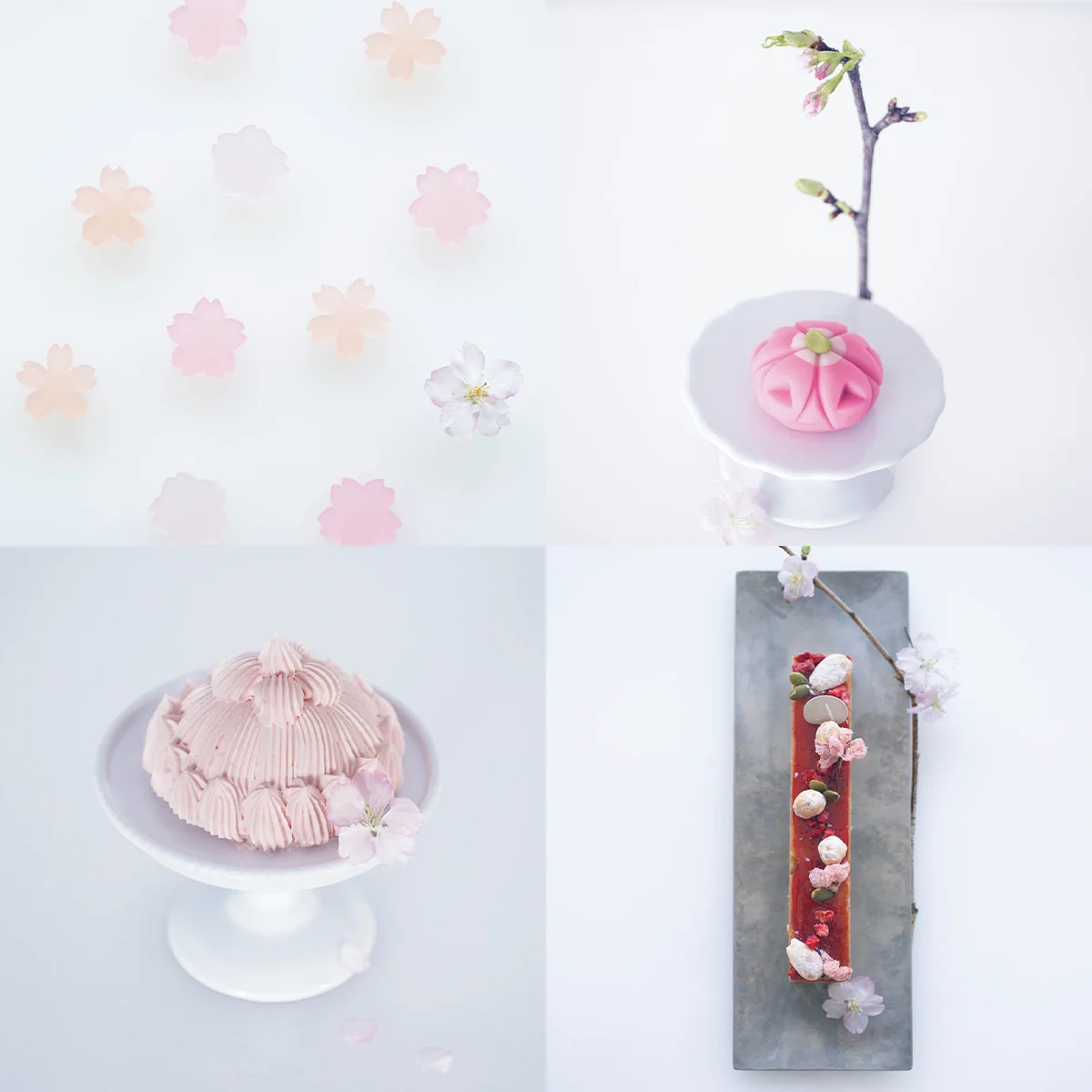 【美しい、花見菓子４選】桜の季節の期間限定スイーツ
