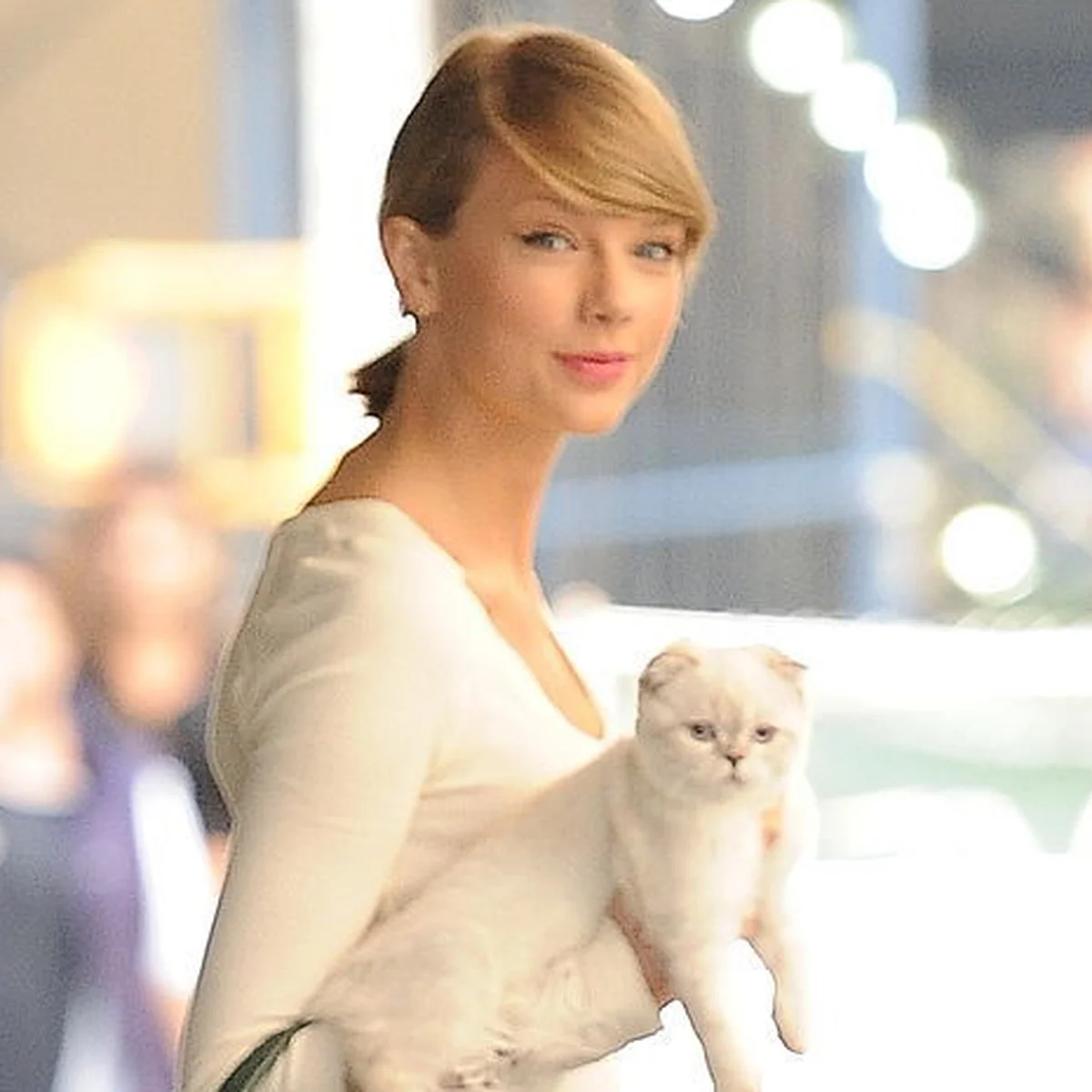 テイラー・スウィフトの愛猫、純総資産価値が126億円を突破！ 世界で最もリッチな猫TOP３に