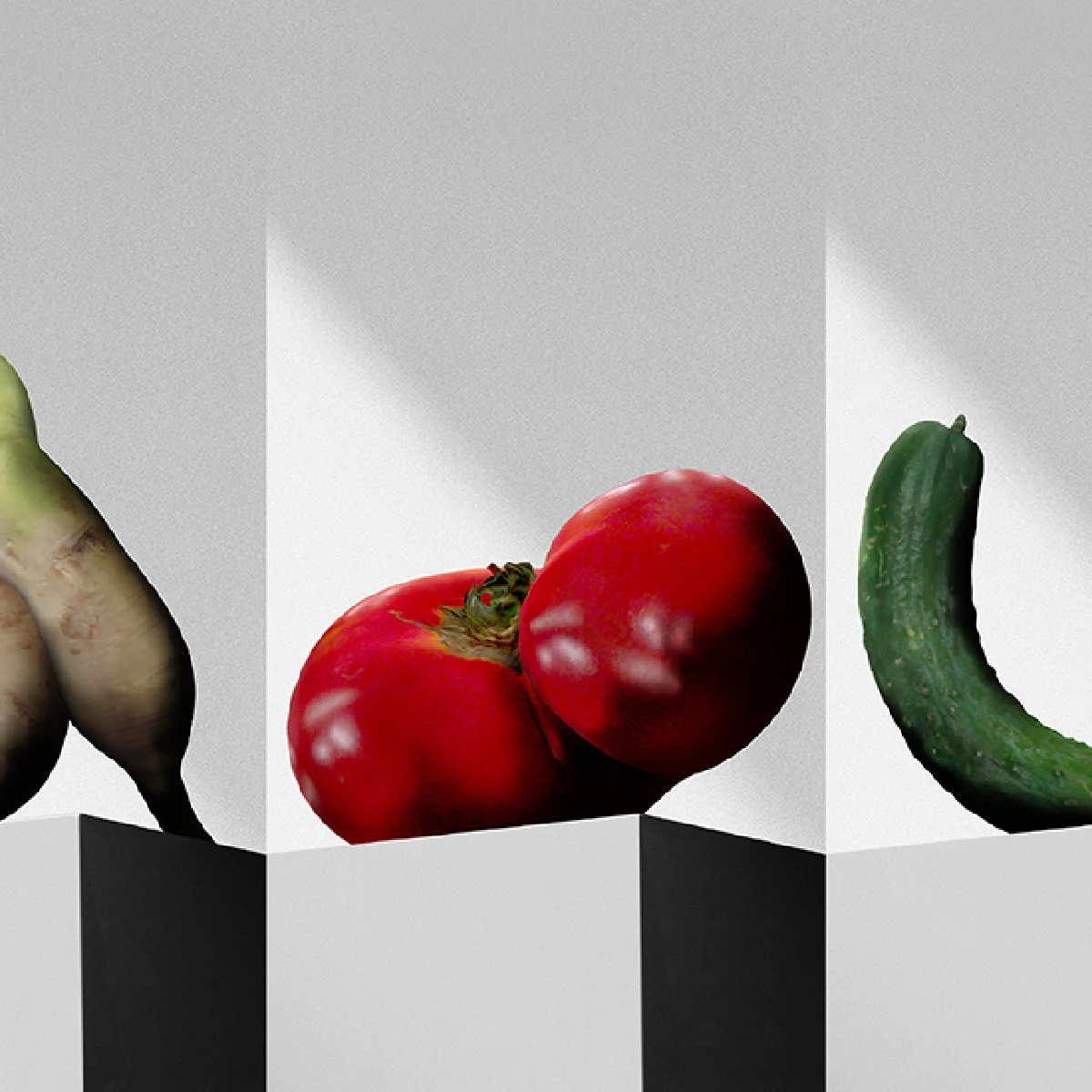 規格外野菜は本当に価値が低いのか？　「アートな青果展」を通して価値観を見つめ直す