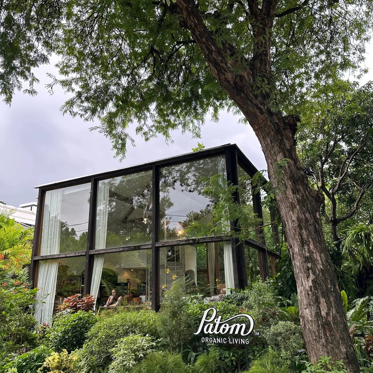 【はみ出しバンコクガイド】オーガニックカフェ”Patom Organic Living”は大人の憩い場