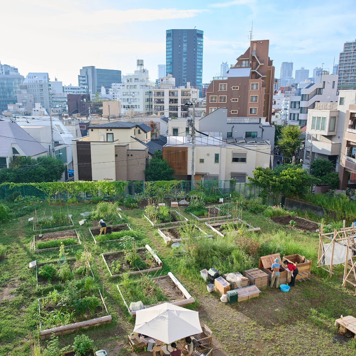 都会の中心で畑と笑顔を耕す。コミュニティ農園【原宿はらっぱファーム】の挑戦