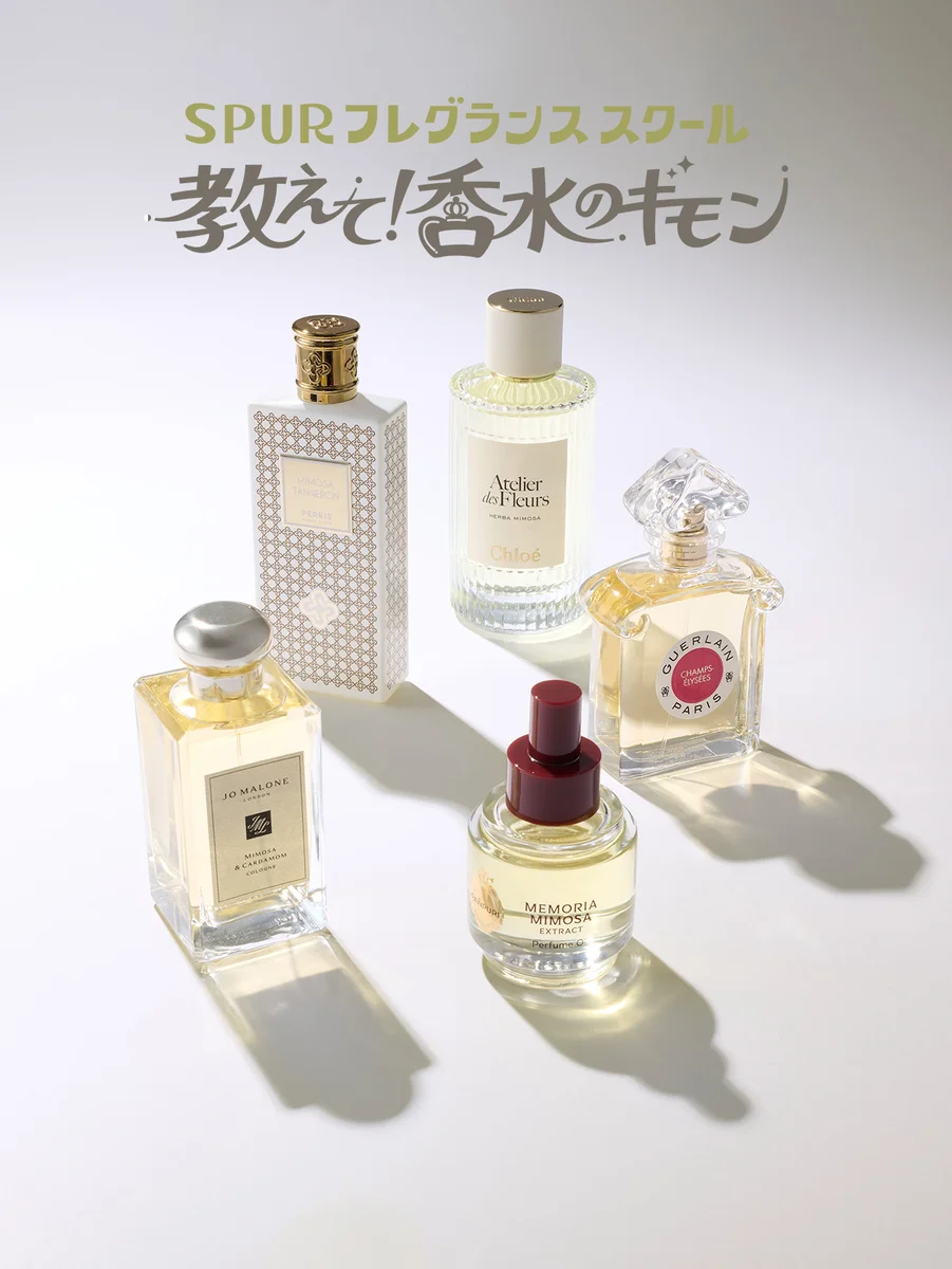 春を感じる“ミモザの香り”って？ 今選びたい名品ガイド