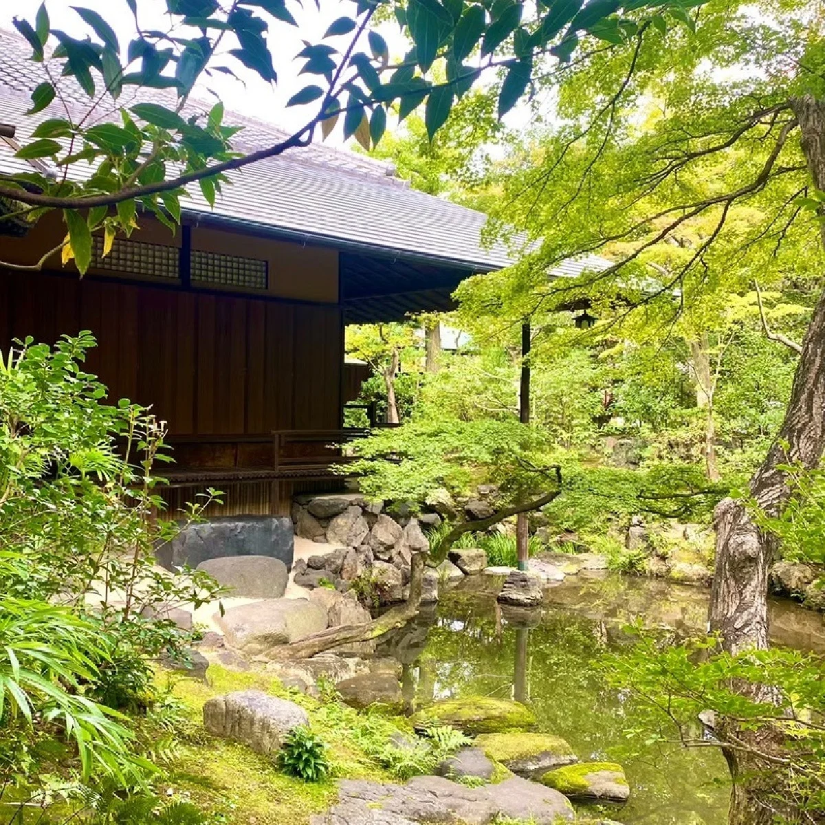 京都で歴史を感じるプライベートなフォトプランを。「廣誠院」に宿坊と食堂をオープン！