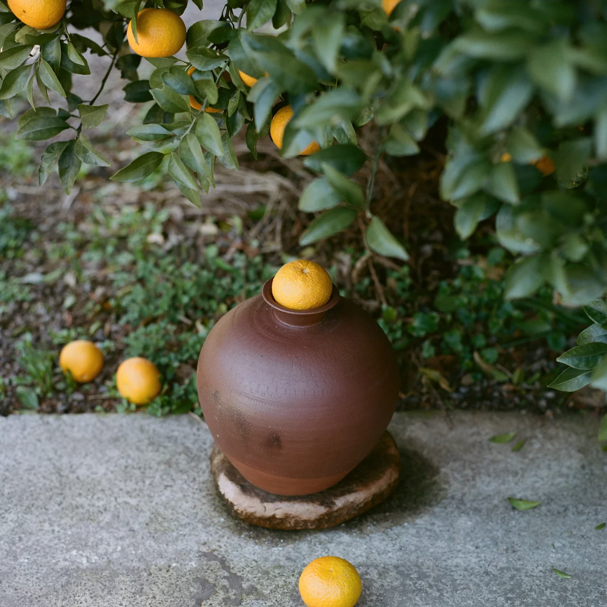 【済州島】で立ち寄りたい、ウェルネスアドレス5選。五感で楽しむ2泊3日の小旅行