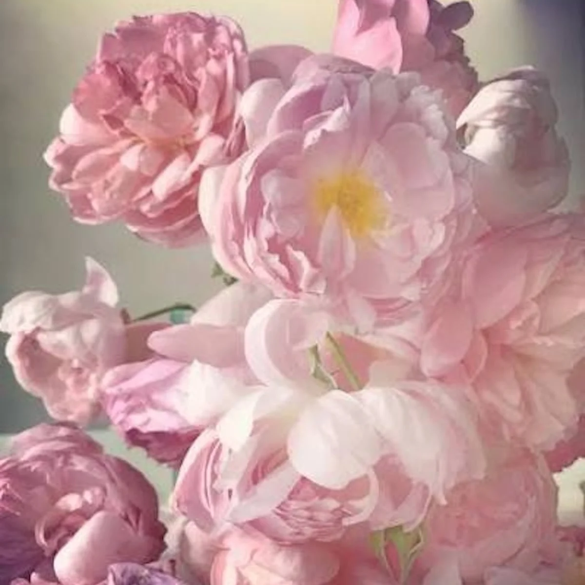 薔薇の美しさと儚さを細密に表現。ニック・ナイトの日本での8年ぶりの個展「NICK KNIGHT, ROSES FOR TOKYO」、伊勢丹新宿店にて開催