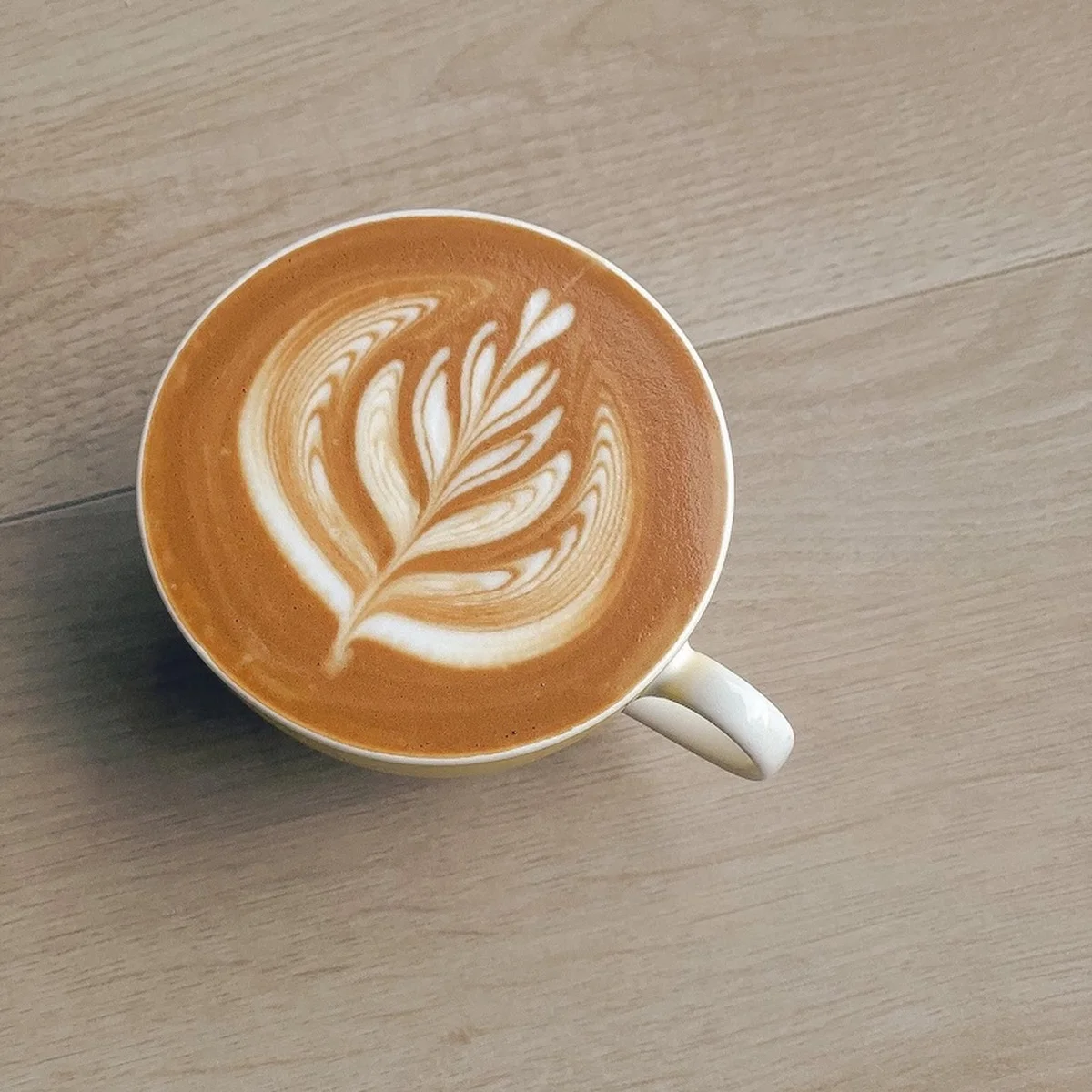 【Vannelli Coffee】の旗艦店が表参道にオープン！ イタリア王者が手がけるコーヒーを堪能