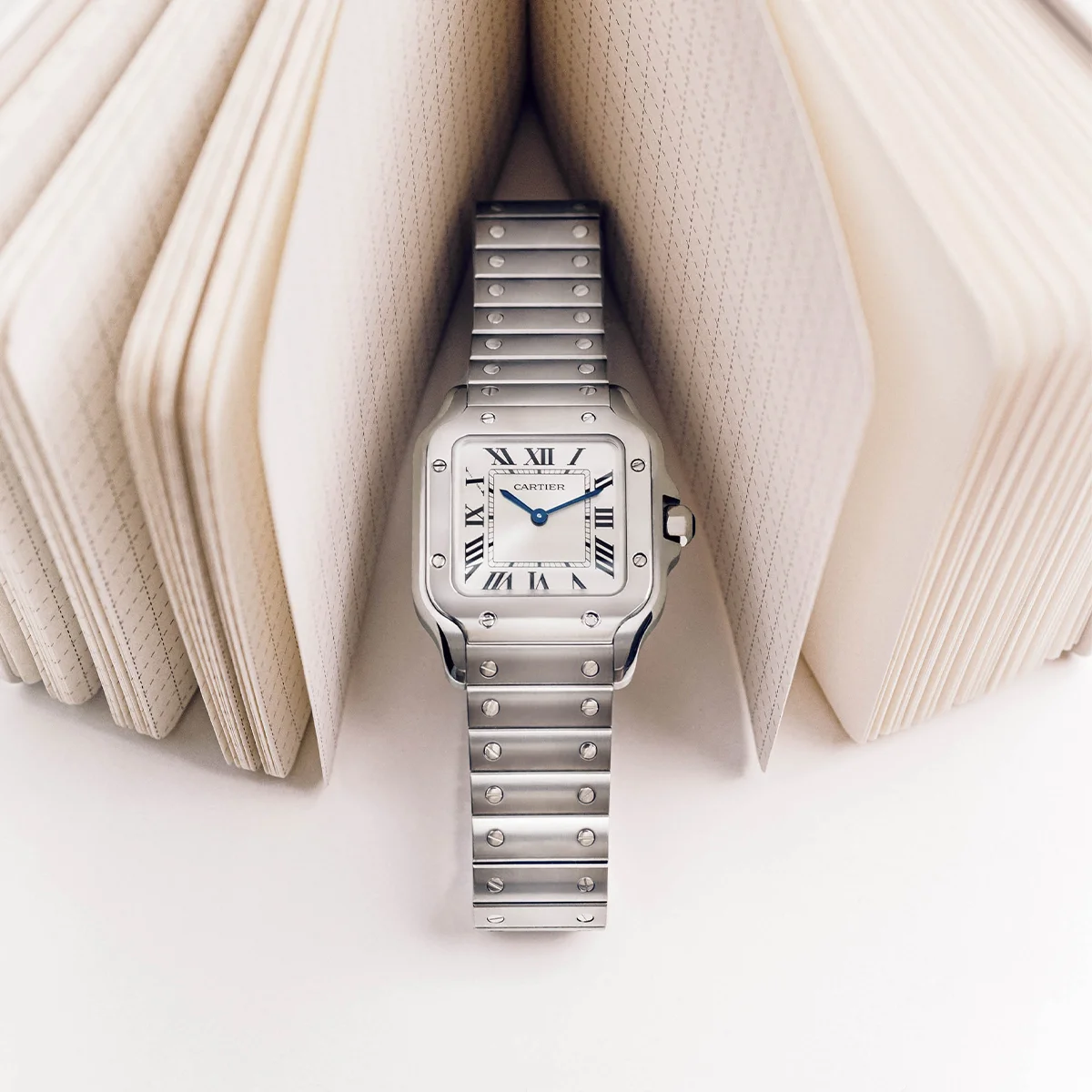 初めての腕時計、どう選ぶ？ 一生の相棒にしたい７本とはずさない選び方