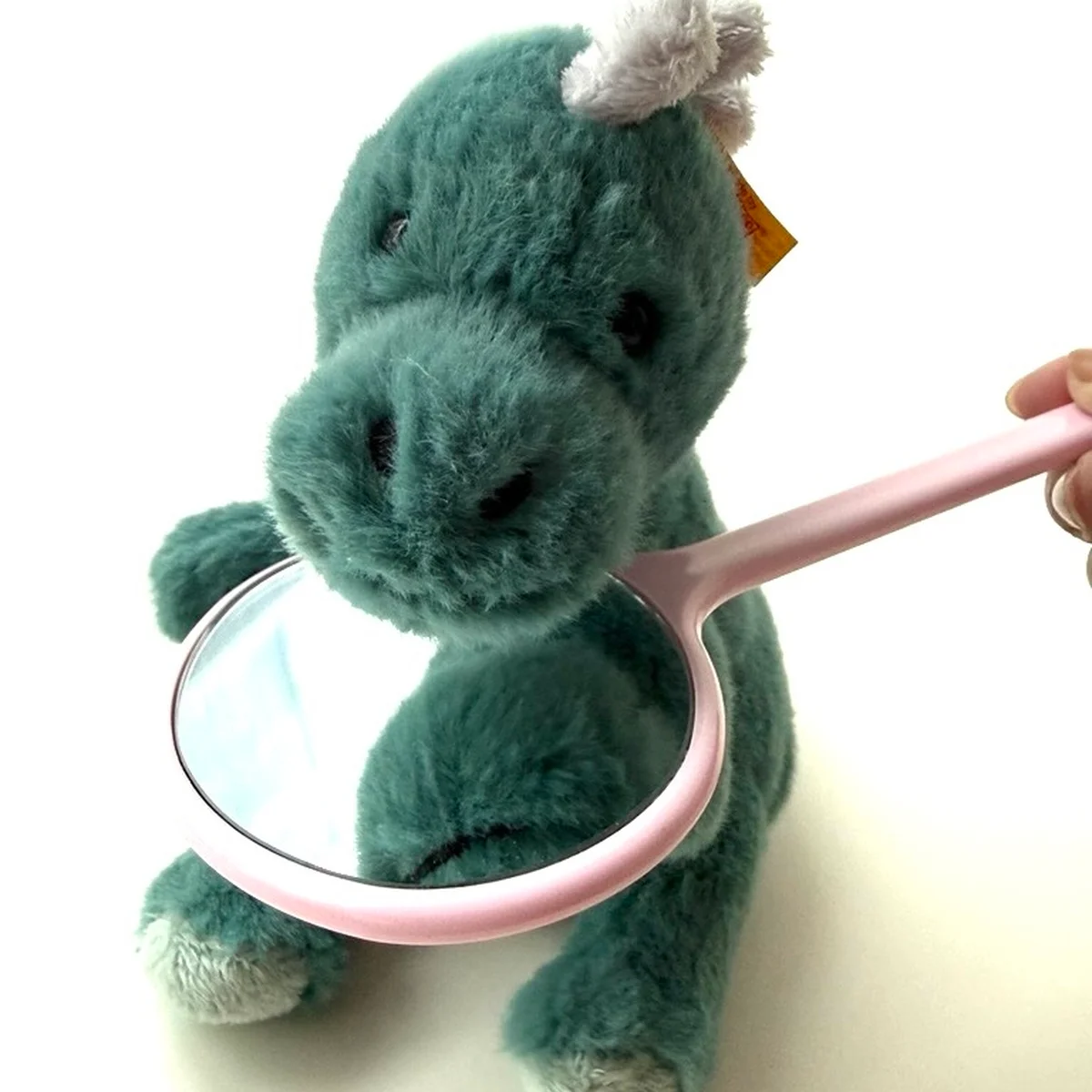 奥歯＆前歯の裏、ちゃんと見えてますか？ お気に入りの３倍ミラーと無印良品の歯みがきポーチ！