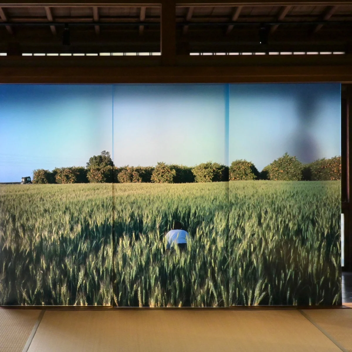 パレスチナの「もうひとつの物語」【KYOTOGRAPHIE 京都国際写真祭 2025】展示レポート③