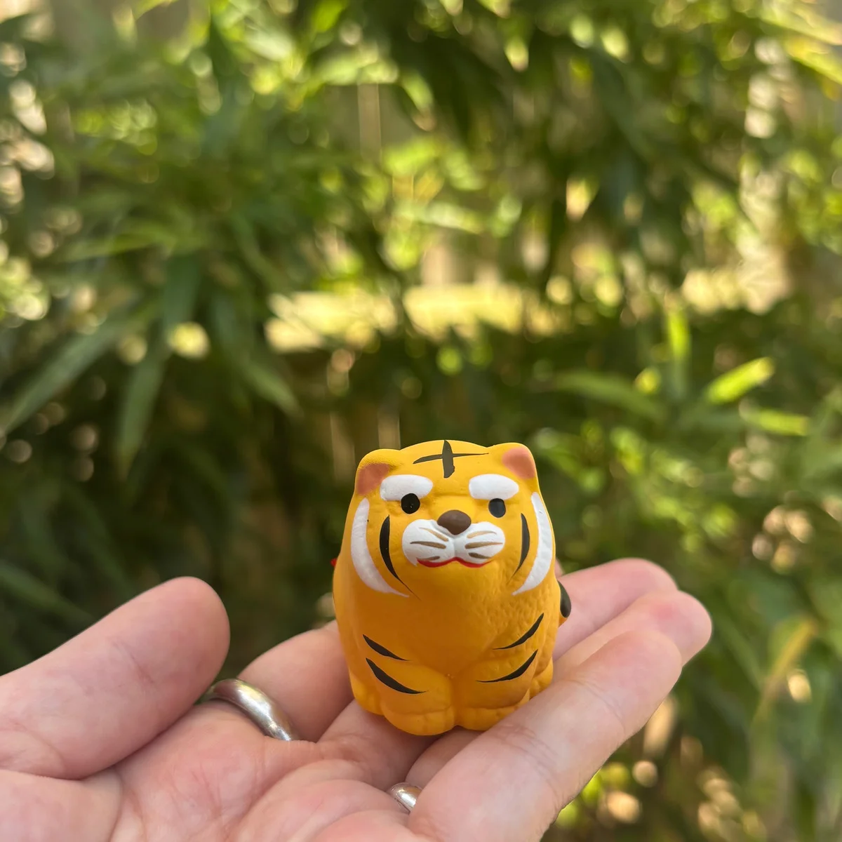 【京都】【両足院】の虎みくじでいざ、運試し！