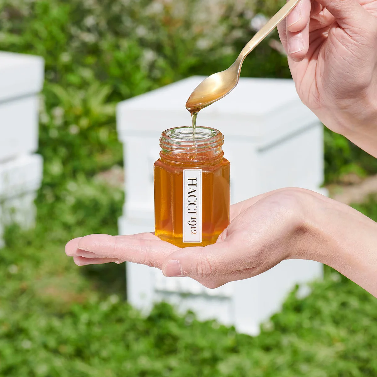 【HACCI】「ミツバチの楽園」を伊勢神宮のほとりにオープン。ミツバチ・自然・人の幸せが連鎖する場所へ