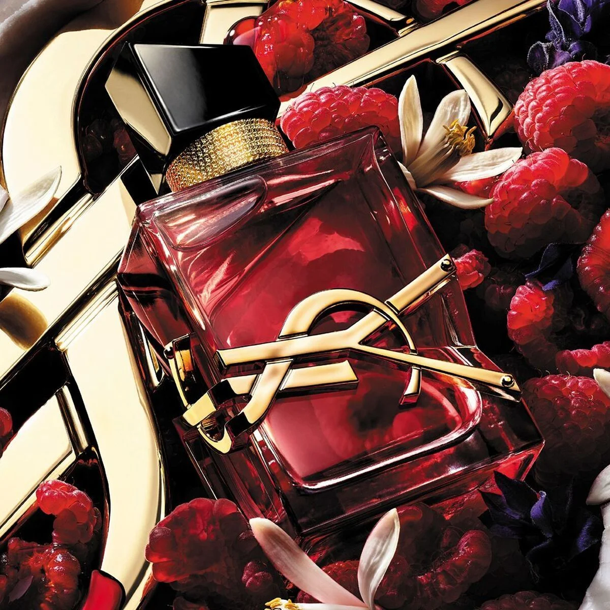 【イヴ・サンローラン】ラズベリーが弾ける“赤いリブレ”誕生。五感で味わうフルーティフローラル
