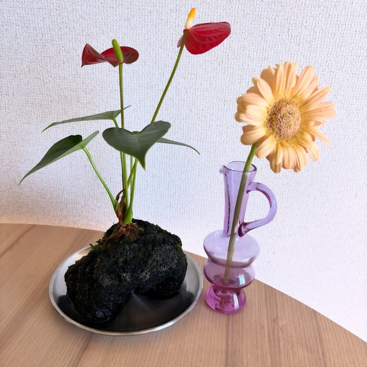 斬新な【観葉植物】を発見！ むき出しの自然をインテリアに