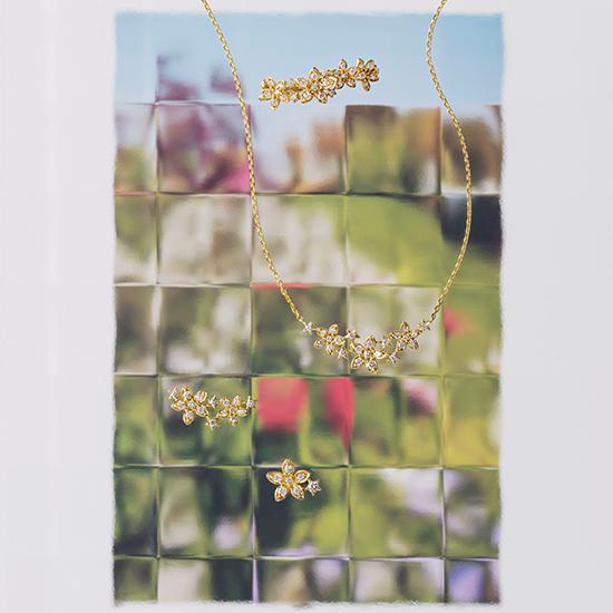 連載 vol.1 BLOOMING STAR よりよい明日へと導く花