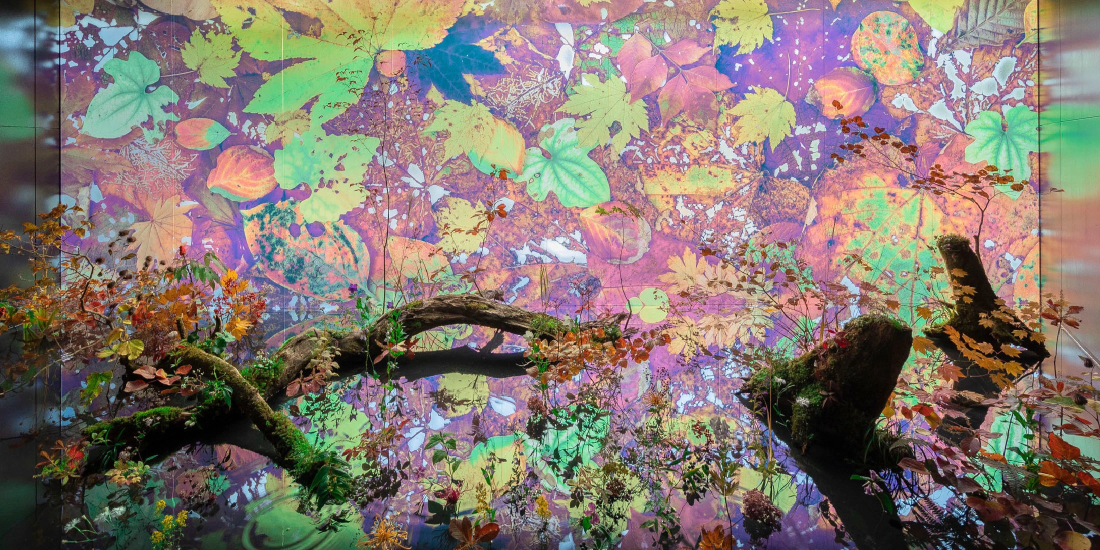 【ヴァン クリーフ＆アーペル】秋の京都で共鳴するジュエリーと草花〜「LIGHT OF FLOWERS 花と光」エキシビションレポート
