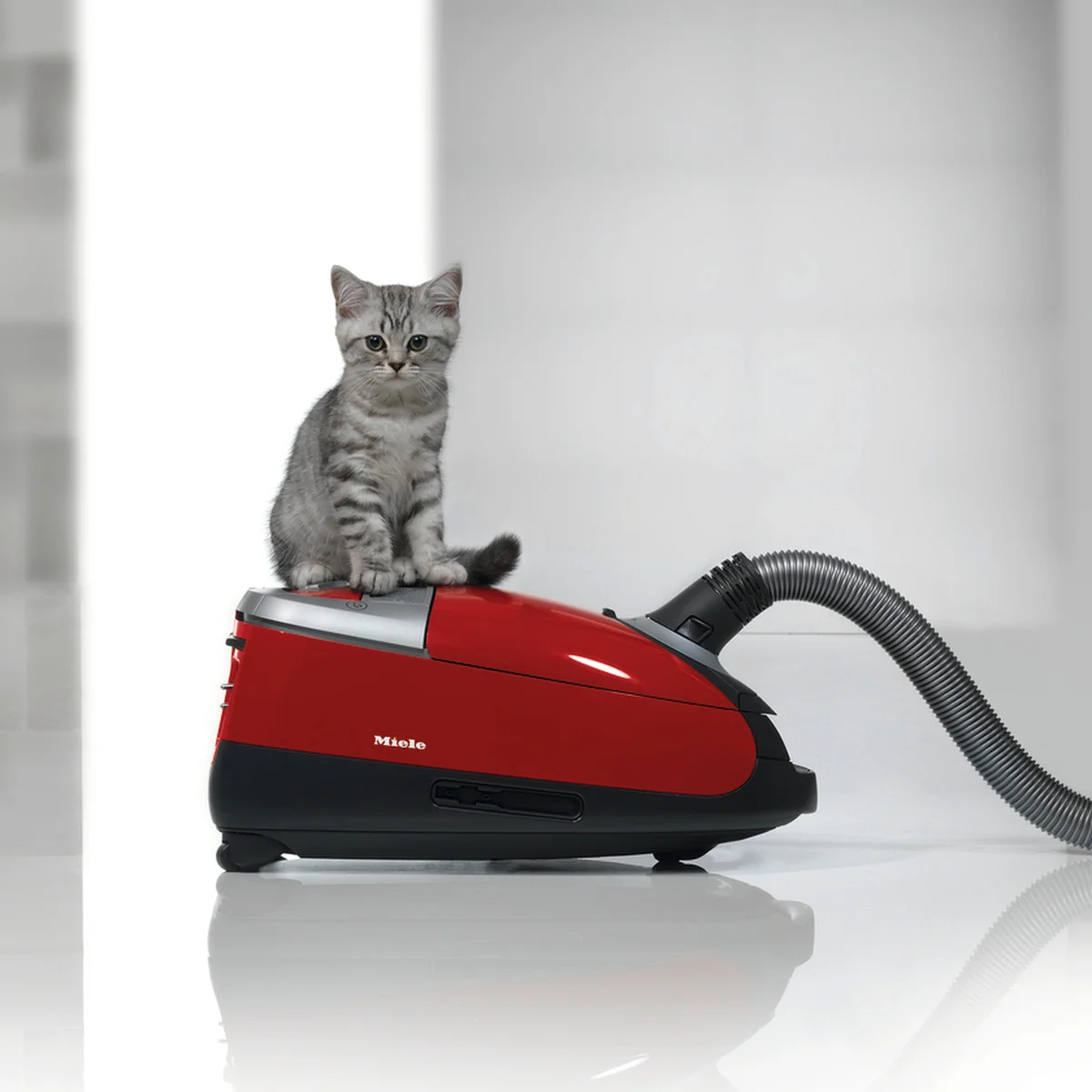 2月22日は猫の日！ 【ミーレ】のペットオーナー向け掃除機で細かな毛や目に見えにくい汚れまでキレイに