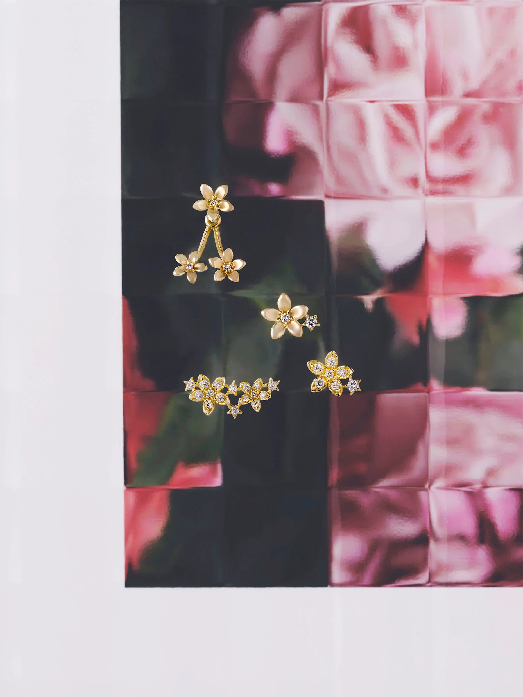 スタージュエリーと輝く未来 連載 vol.1　BLOOMING STAR　よりよい明日へと導く花の画像2