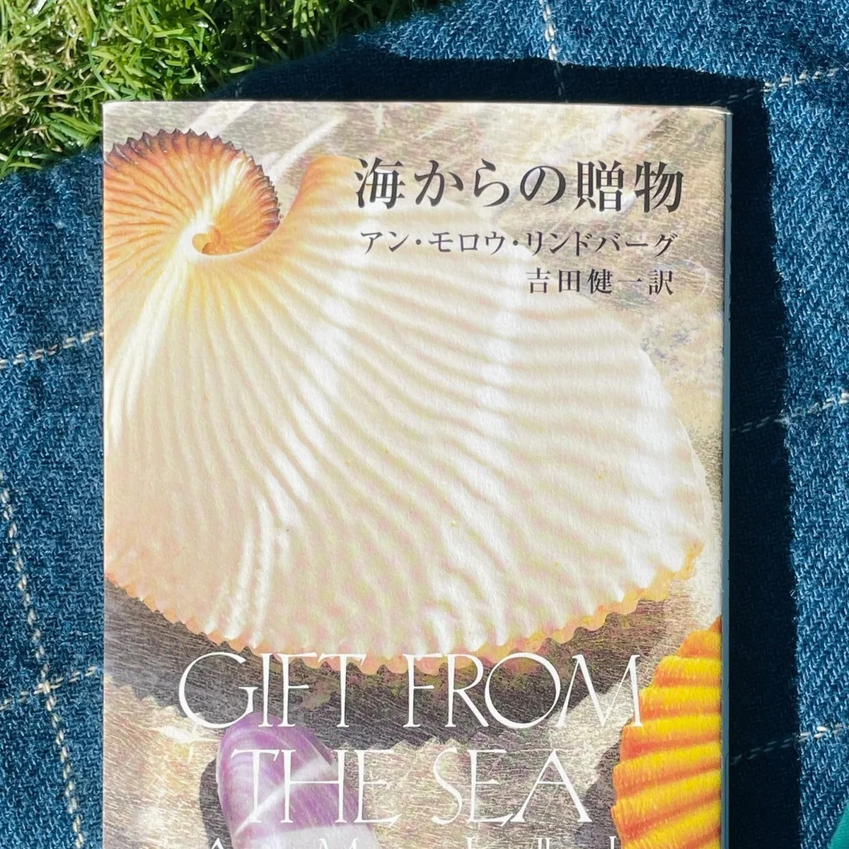 【2024年人気記事プレイバック・カルチャーコラム編】年末年始の読書にも！ SPURエディターが本当におすすめしたい本５選