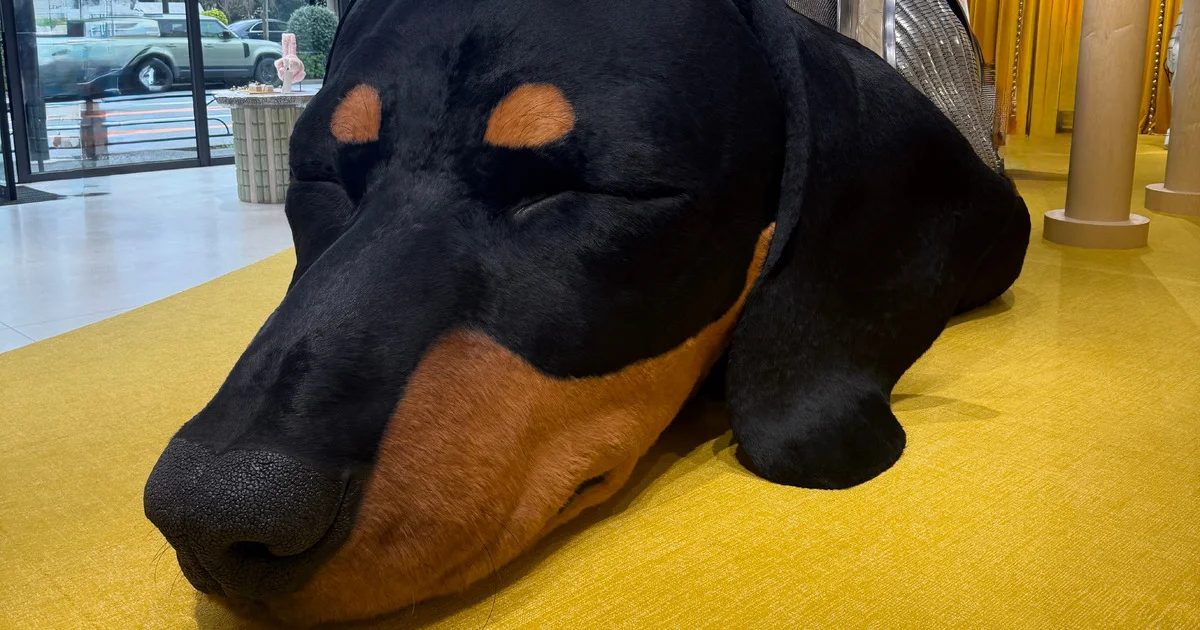 タンバリンズ】あのワンコがやって来た！ 代官山の新店舗で大満喫