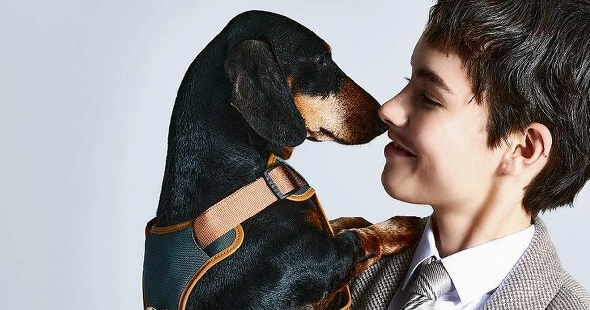 ジョゼッペ アルマーニ　カポディモンテ コレクション　犬と読書する少年 ジョルジオ アルマーニ】と【ポルド ドッグ クチュール】のコラボ