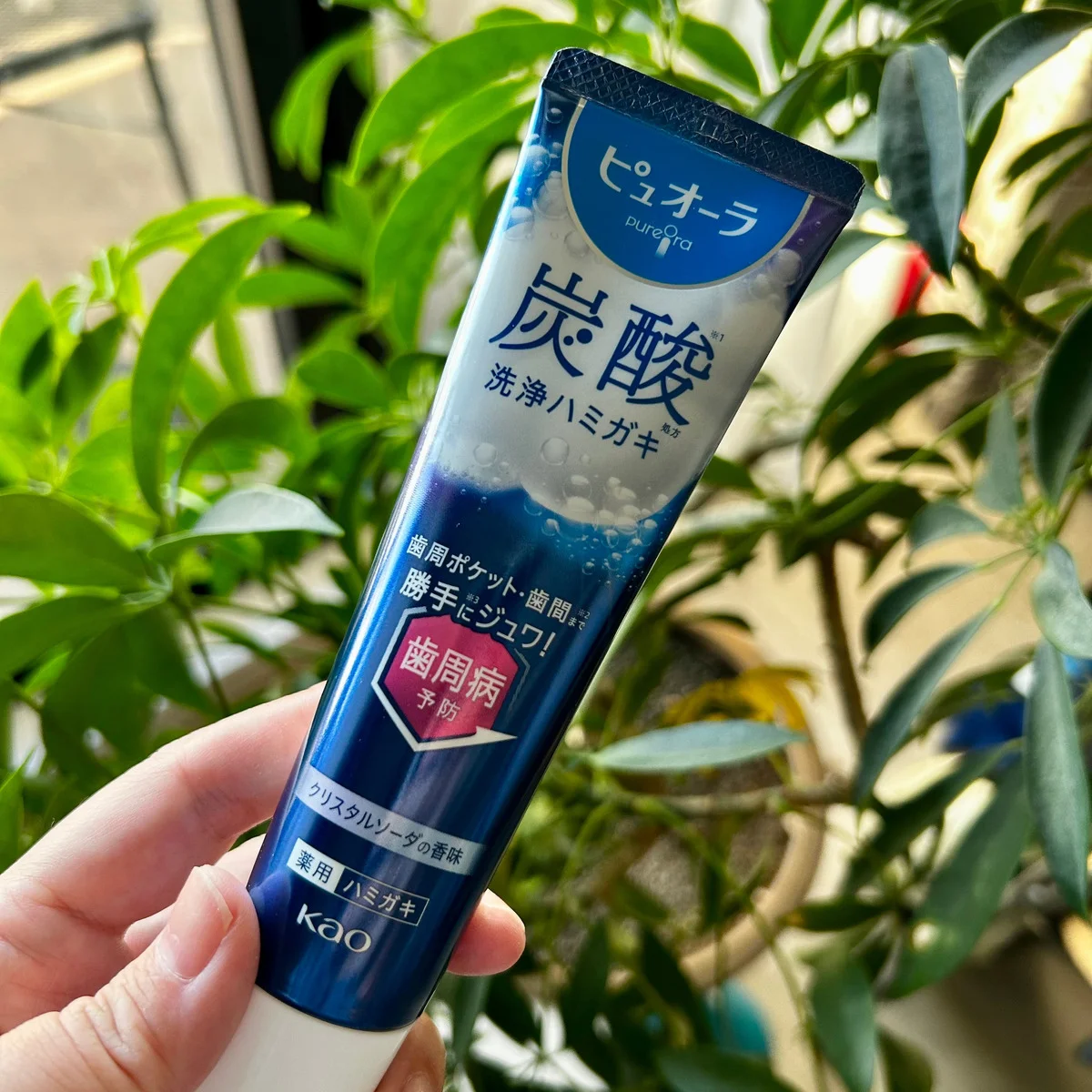 【ピュオーラ】炭酸ハミガキがクセになる!