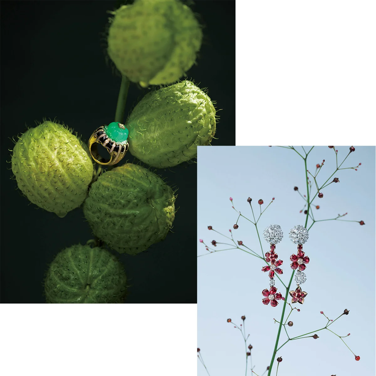 【カルティエ】【ヴァン クリーフ＆アーペル】【ティファニー】etc. 自然がモチーフのジュエリー