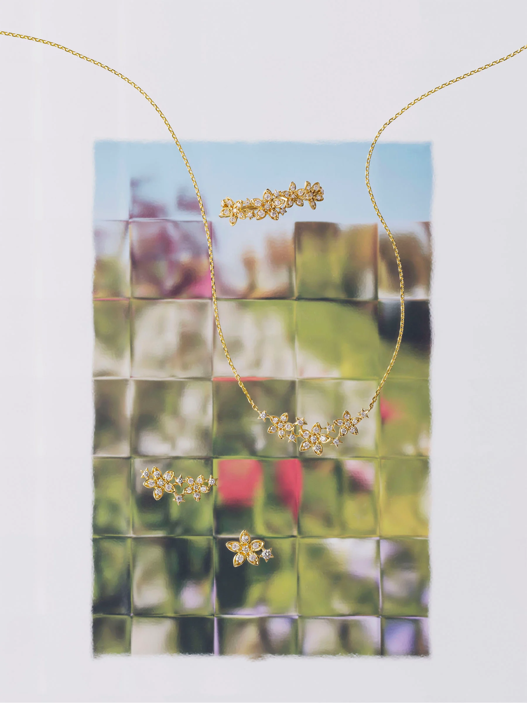 スタージュエリーと輝く未来 連載 vol.1　BLOOMING STAR　よりよい明日へと導く花の画像1