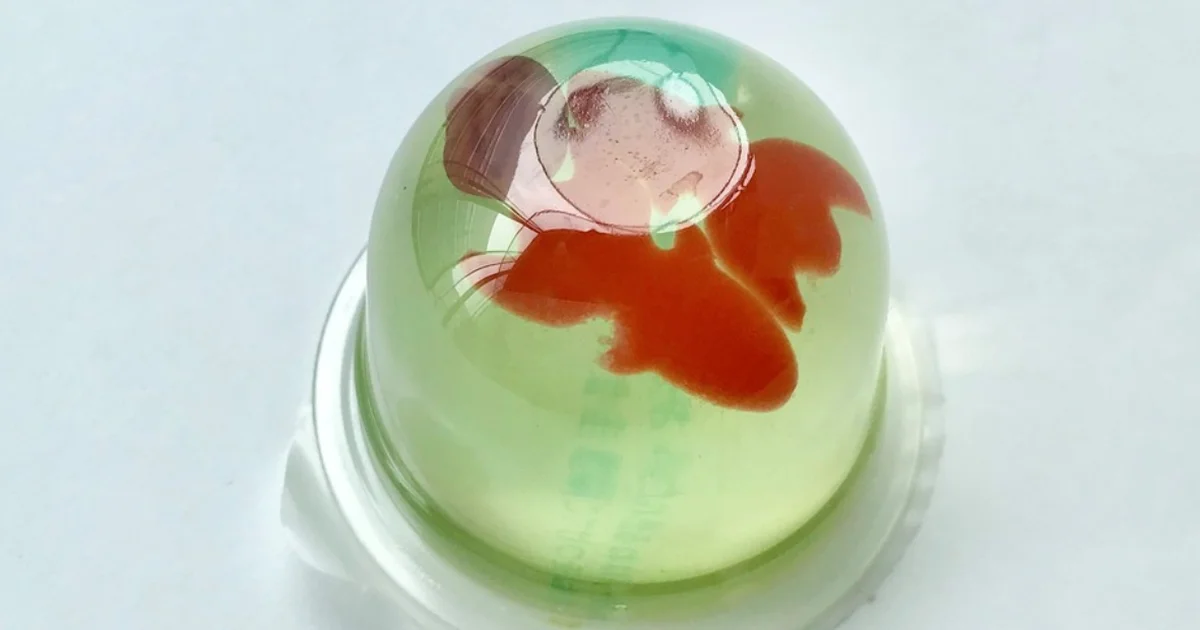 65c66d47-a94e-4e2c-96d1-