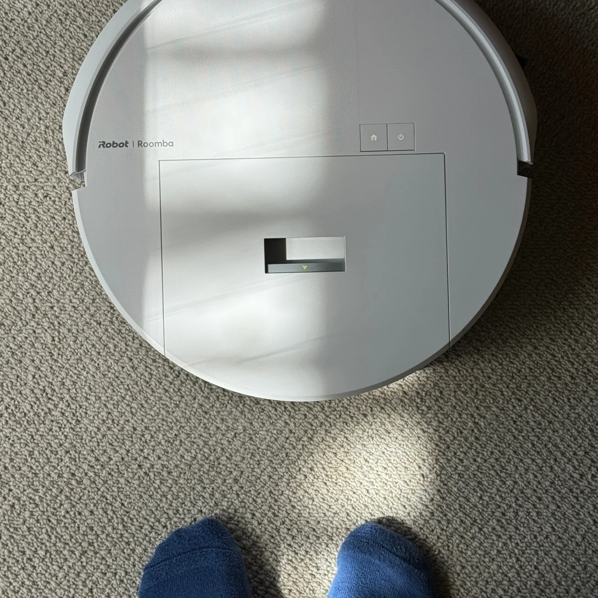 【ルンバ】を５年ぶりにサブスクでスタート。カーペットに絡まる髪の毛は綺麗になるのか？