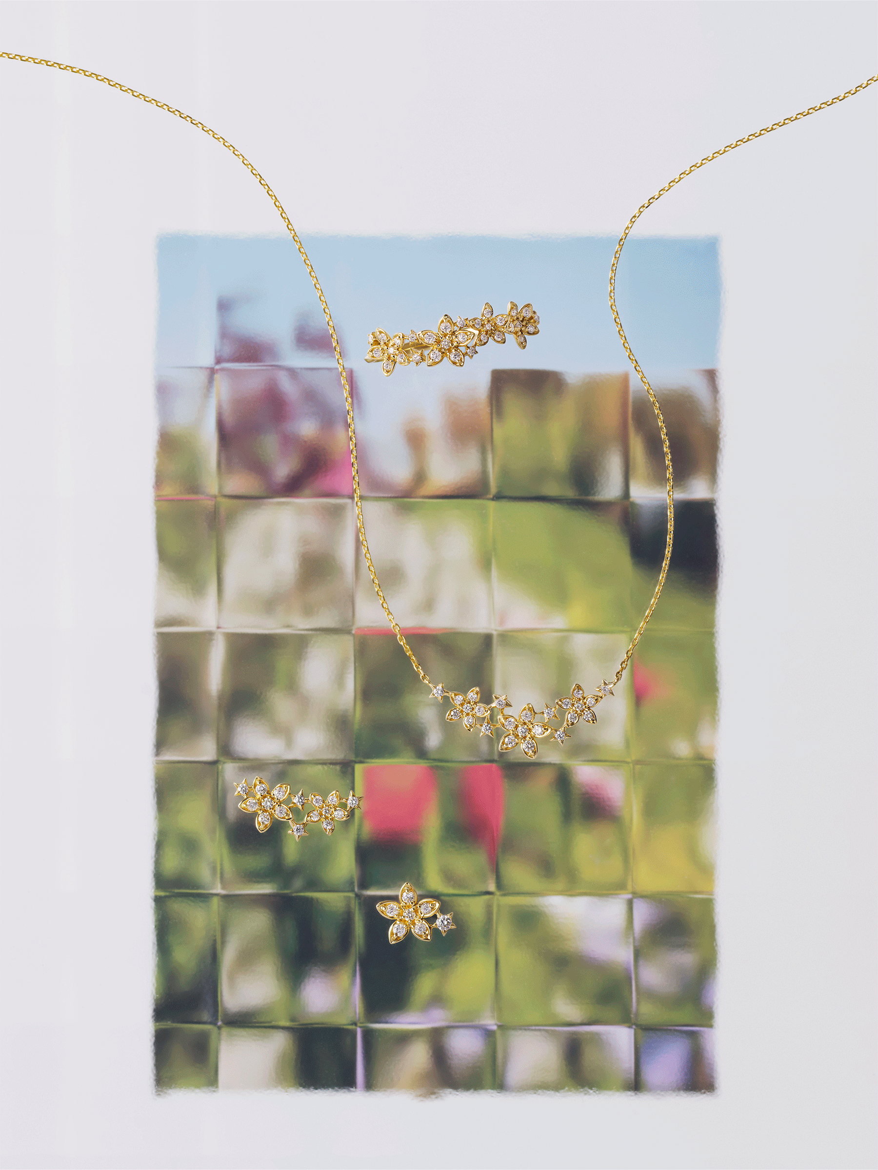 BLOOMING STARよりよい明日へと導く花のカバーイメージ