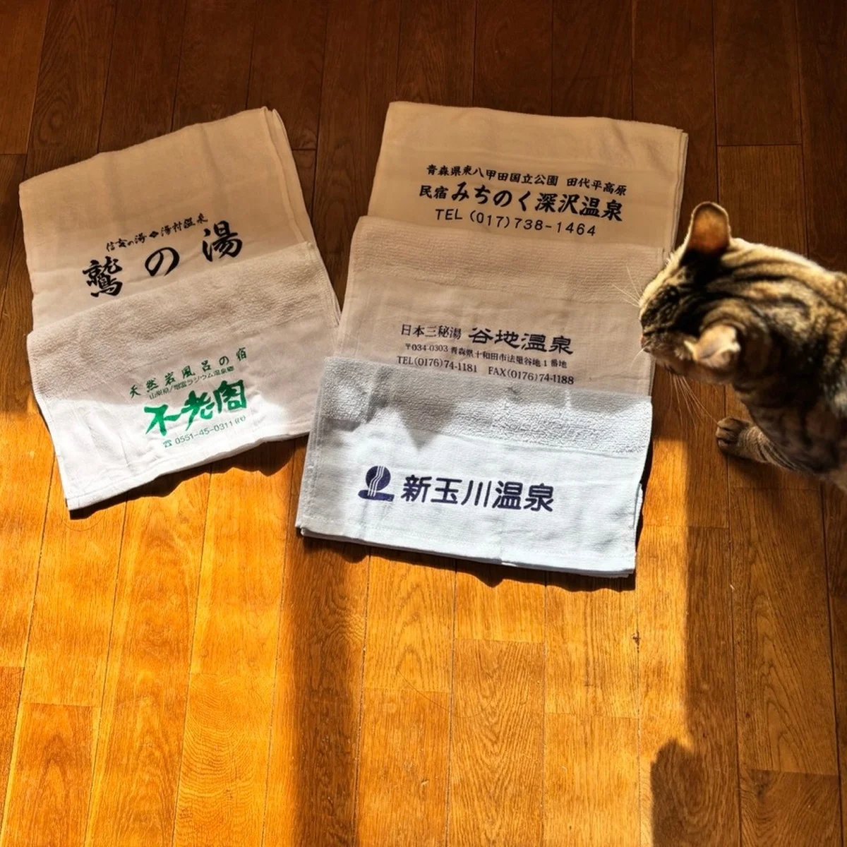 【秋田・新玉川温泉】秘湯限定販売のクリームで、自宅温泉スキンケア