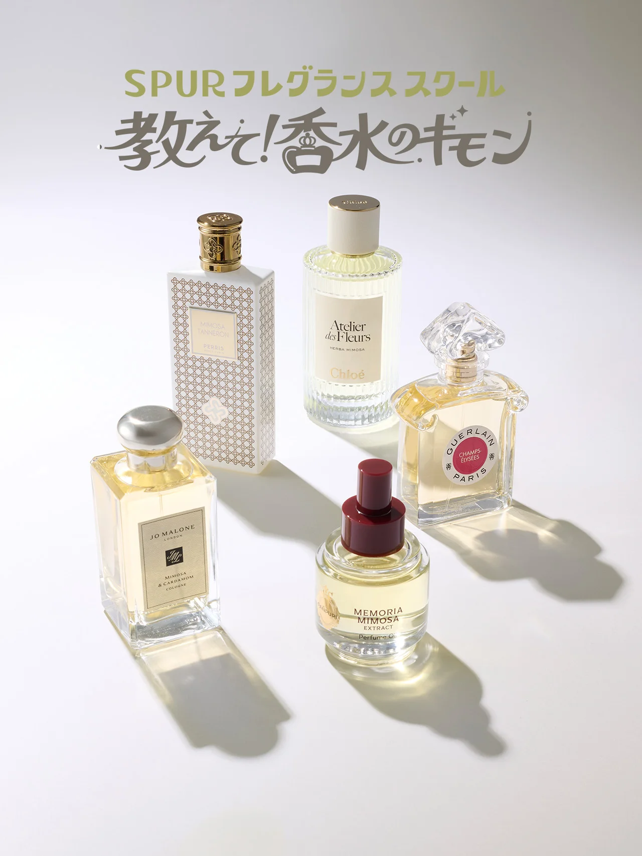 春を感じる“ミモザの香り”って？ 今選びたい名品ガイド